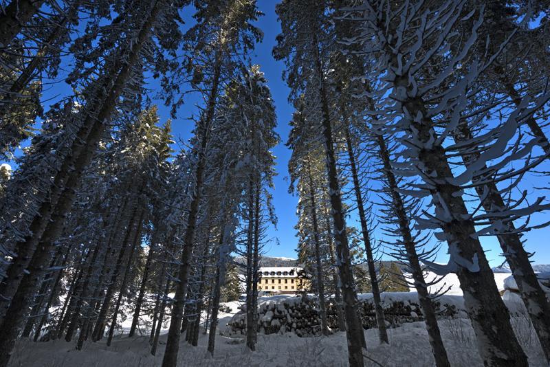 Hotel Vezzena Malga Postesina Buitenkant foto